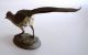 Antique Austrian Vienna Cold Painted Bergman Bronze Pheasant Figurine Metalware photo 5