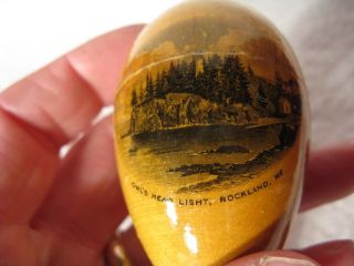 Antique 19th C Mauchline Ware Sewing Egg Owl ' S Head Light Rockland Maine photo