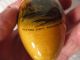 Antique 19th C Mauchline Ware Sewing Egg Owl ' S Head Light Rockland Maine Other photo 3
