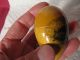 Antique 19th C Mauchline Ware Sewing Egg Owl ' S Head Light Rockland Maine Other photo 5