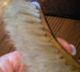 Copper Crumb Scraper & Tray – Vintage Metalware photo 3