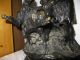 P J Mene Large Bronze Sculpture 