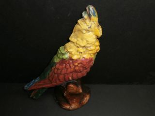 Very Old Cast Iron Doorstop Albany Foundry Greenwing Macaw Parrot Cockatoo photo