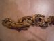 Cast Iron Wall Hanging Antique Fish 1870 Hanger Metalware photo 2