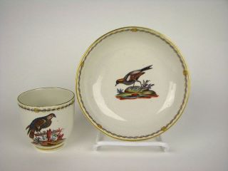 18th Century Antique French Porcelain Cup Saucer Ornithology Birds Hand Painted photo