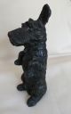 Large Standing Metal Begging Scottish Terrier Scottie Dog Metalware photo 1