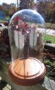 Vintage Glass Dome With Wood Base To Display Clock,  Jewelry,  Flowers & Taxidermy Other photo 9