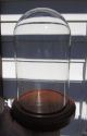 Vintage Glass Dome With Wood Base To Display Clock,  Jewelry,  Flowers & Taxidermy Other photo 11