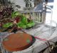Vintage Glass Dome With Wood Base To Display Clock,  Jewelry,  Flowers & Taxidermy Other photo 3