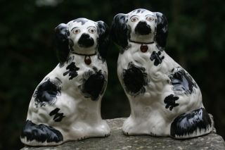 Pair Of 19th C.  Staffordshire Black & White Seated Hearth Dogs photo