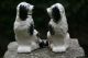 Pair Of 19th C.  Staffordshire Black & White Seated Hearth Dogs Figurines photo 7