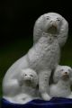 19th C.  Staffordshire Of A Seated Open Legged Poodle Dog With Puppies Figurines photo 3
