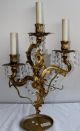 Vintage French Embossed Bronze 3 Arm Wall Sconce With Swag Crystal Prisms Lamps photo 1