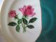 Unknown Antique Tea Cup And Saucer Cups & Saucers photo 3