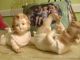 Pair Of Vintage Piano Babies In Figurines photo 3