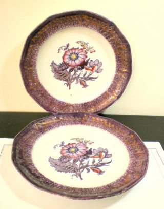 Exquisite Pair 1845 Staffordshire: T.  Walker,  Mulberry 