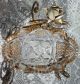 Antique - Golden - Metal - Crystal1900strinket Tray - White Rose - Leaves Design - Lovely Metalware photo 7