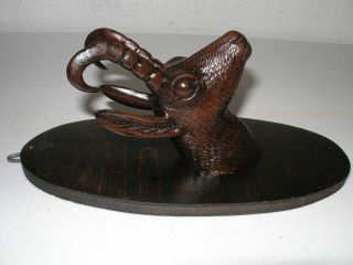 An Antique Black Forst Carving Of A A Chamois photo