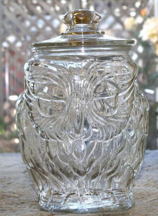 Vtg Wise Old Hooty Owl Glass Jar Large Potato Chips Cookies Canister Halloween photo