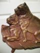 Antique Bronze Bulldog Boxer Art Sculpture Card Receiver Change Tray Dish Dog Metalware photo 2