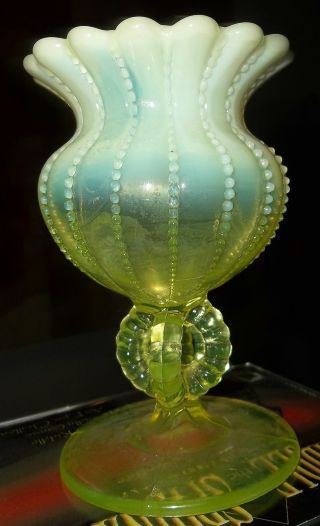 Perfect Northwood Antique Opalescent Beaded Canary Vaseline Vase C1890 ' S N/r photo