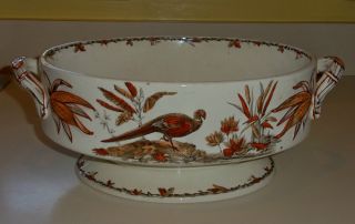 Early Staffordshire Ridgways Pottery Indus Open Vegetable Dish Ca.  1877 Multi photo
