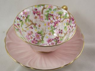 Shelley Maytime Blossom Chintz Pink Oleander Tea Cup & Saucer photo