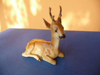 Wonderful Hutschenreuther Roebuck Deer Porcelain Figurine Perfect photo