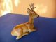 Wonderful Hutschenreuther Roebuck Deer Porcelain Figurine Perfect Figurines photo 1