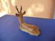 Wonderful Hutschenreuther Roebuck Deer Porcelain Figurine Perfect Figurines photo 2