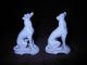 Antique Nymphenburg German Porcelain Greyhound Dogs C1850 Blance De Chine Figurines photo 1