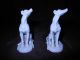 Antique Nymphenburg German Porcelain Greyhound Dogs C1850 Blance De Chine Figurines photo 2