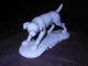 Antique Nymphenburg German Porcelain Dog Blance De Chine Figurines photo 2