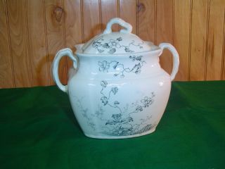 Antique Wh Grindley Duchess Pattern Transfer Lidded Sugar Bowl C1891 photo