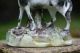 19th C.  Staffordshire Black & White Horse On Decorative Base Figurines photo 4