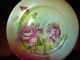 Antique Porcelain Roses Flower Plate,  Marked Bavarian,  Transfer Print Plates & Chargers photo 2