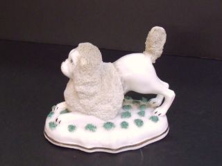 1756 Staffordshire Chelsea Poodle Dog Figurine Gold Anchor Makers Mark England photo