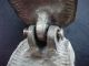 L@@k Unusual Antique Yellow Bronze Clown Nutcracker / Jester ' S Head L@@k Metalware photo 11