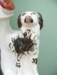 Fine 19thc Staffordshire Figure Of A Poacher With Dog Figurines photo 1