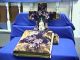 Antique Celluloid Pope Cover Photo Album - Velvet - Fold Down Infant Prague Statue Other photo 1