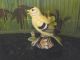 Vintage Matte Finish Goldfinch Figurine - Porcelain ? - Highly Detailed Figurines photo 1