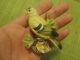 Vintage Matte Finish Goldfinch Figurine - Porcelain ? - Highly Detailed Figurines photo 4