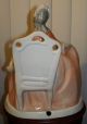 Antique Dresden Germany Porcelain Lady Half Doll Lamp Base Spaniel Dog Chair Figurines photo 3