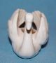 Vintge Goebel W.  Germany Porcelain Ceramic Pottery Sm Swan Bird Figurine/candle Figurines photo 4