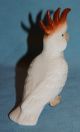 Vintage Porcelain Ceramic Pottery Lovely Little Cockatoo Parrot Bird Figurine Figurines photo 1