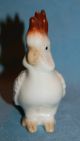 Vintage Porcelain Ceramic Pottery Lovely Little Cockatoo Parrot Bird Figurine Figurines photo 3