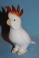 Vintage Porcelain Ceramic Pottery Lovely Little Cockatoo Parrot Bird Figurine Figurines photo 4