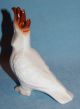 Vintage Porcelain Ceramic Pottery Lovely Little Cockatoo Parrot Bird Figurine Figurines photo 6