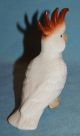 Vintage Porcelain Ceramic Pottery Lovely Little Cockatoo Parrot Bird Figurine Figurines photo 8