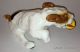 Antique Royal Doulton Character Dog Jack Russell Terrier Chasing Ball 1097 Figurines photo 2